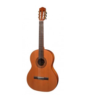 CC22-SN 7/8 gitaar