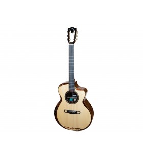 Grand Sadhu Concert Western...