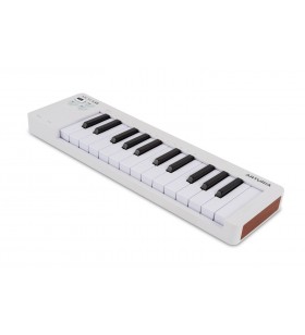 MicroLab Mk3 White 25-key...