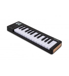 MicroLab Mk3 Black 25-key...