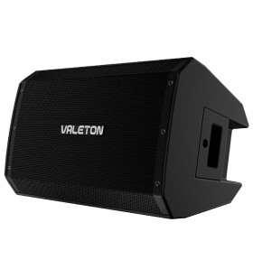 VFR110 FRFR Speaker 1300W...