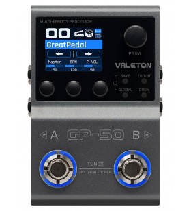 GP-50 multi-effects...