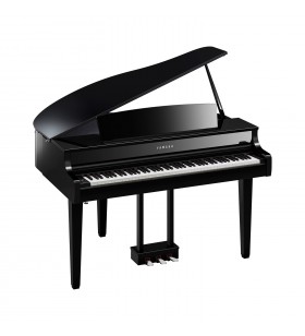 CLP-865GP Digitale Vleugel,...