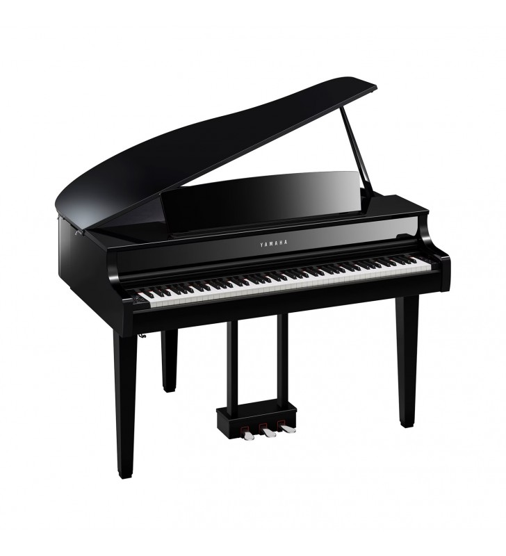 CLP-865GP Digitale Vleugel,...