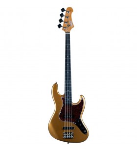 JJB300GDR Electrische...