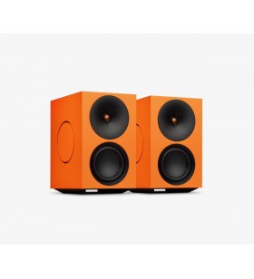 L/R X Actieve Luidspreker...