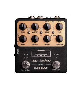 NGS-6 Amp Academy - Amp Sim...