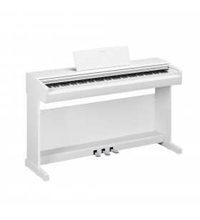 ARIUS YDP-146WH Digitale...