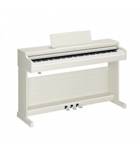 ARIUS YDP-166WB Digitale...