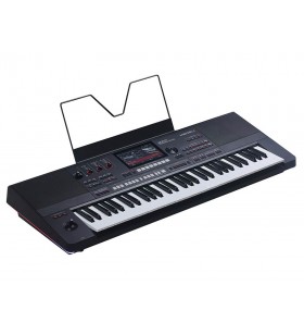 AKX-10s Arranger Pro Series...