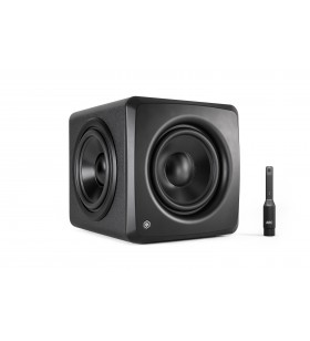 iLoud Subwoofer