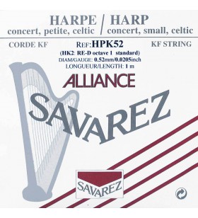 HPK52(HK2) harpsnaar D 1e...