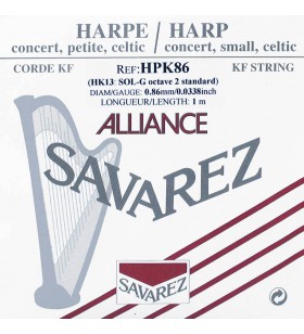 HPK86(HK13) harpsnaar G 2e...